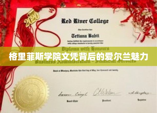 探寻格里菲斯学院文凭背后的爱尔兰独特魅力