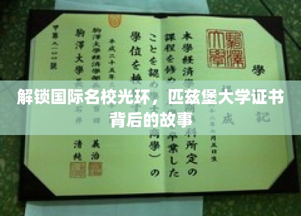 揭开国际名校光环，匹兹堡大学证书背后的故事