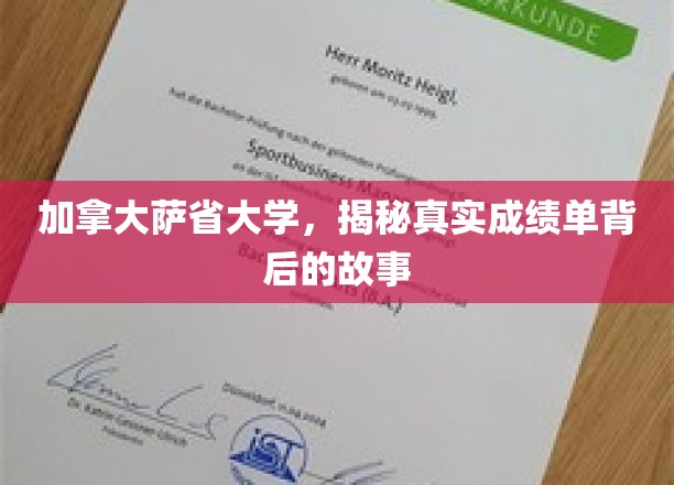 加拿大萨省大学，探寻成绩单背后的不凡传奇