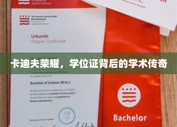 卡迪夫荣耀，学位证背后的学术传奇