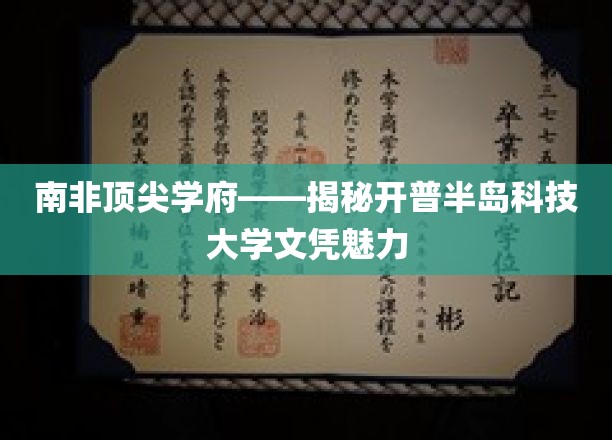解码开普半岛科技大学，南非精英教育的璀璨明珠