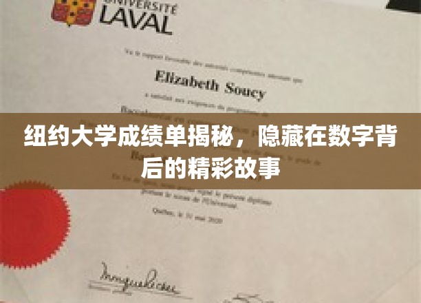 纽约大学成绩单揭秘，隐藏在数字背后的精彩故事