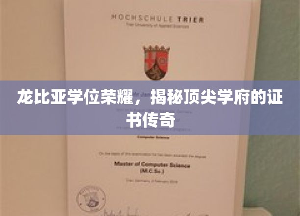 龙比亚学位荣耀，揭秘顶尖学府的证书传奇