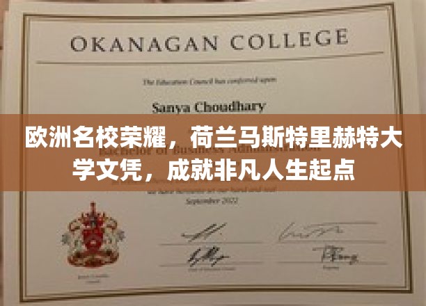 欧洲教育明珠，马斯特里赫特大学文凭，开启非凡人生篇章