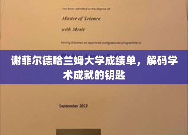谢菲尔德哈兰姆大学成绩单，解码学术成就的钥匙