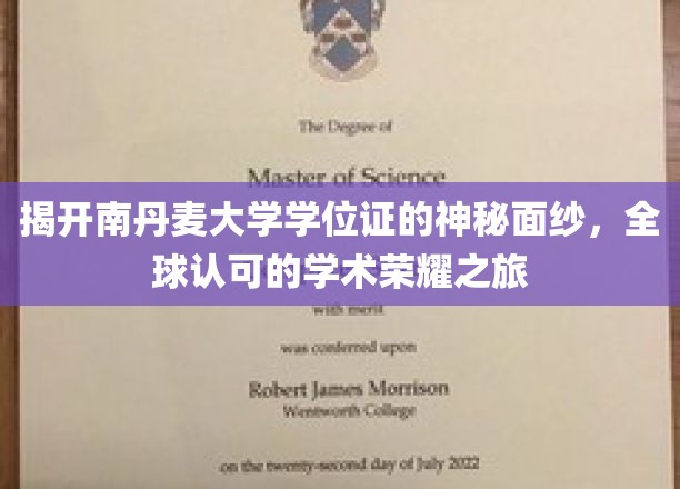 探寻南丹麦大学学位证的传奇魅力，国际认可下的学术巅峰之路