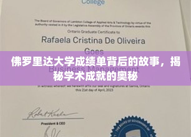 佛罗里达大学成绩单背后的故事，揭秘学术成就的奥秘