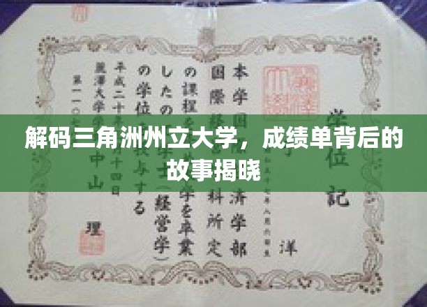 揭开三角洲州立大学成绩单的神秘面纱