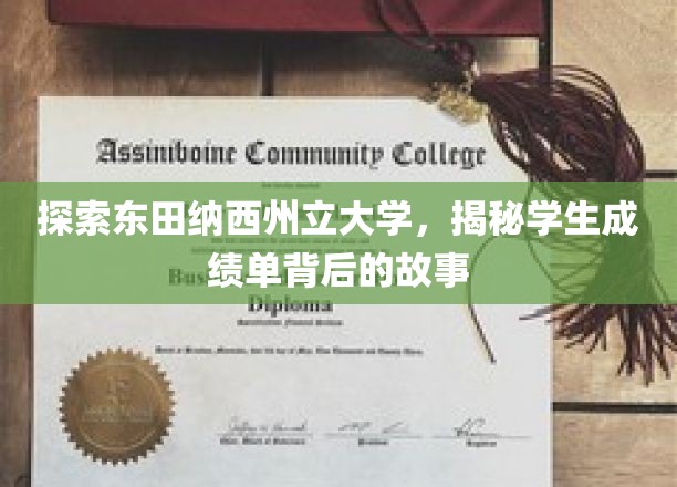 揭秘东田纳西州立大学，探寻学生成绩单背后的故事