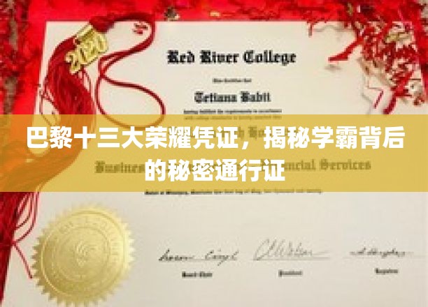 巴黎十三大荣耀凭证，揭秘学霸背后的秘密通行证