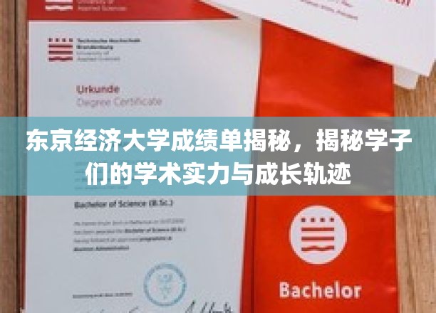 东京经济大学成绩单揭秘，展现学子们的学术实力与成长轨迹