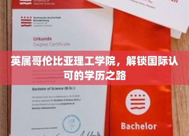 英属哥伦比亚理工学院，解锁国际认可的学历之路