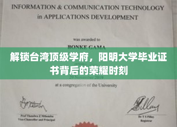 解锁台湾顶级学府，阳明大学毕业证书背后的荣耀时刻