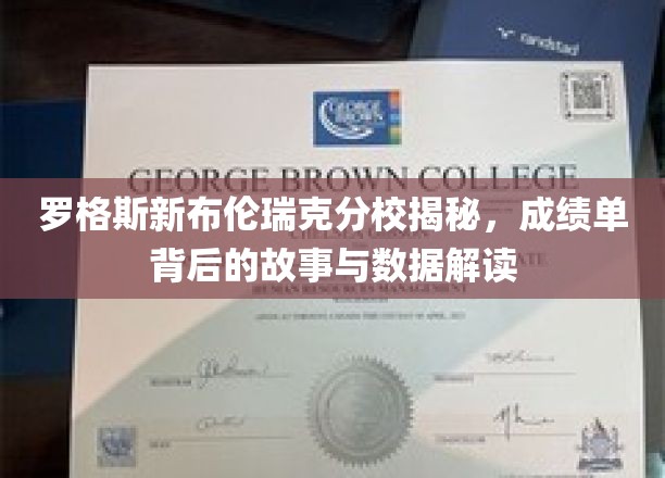 罗格斯新布伦瑞克分校揭秘，成绩单背后的故事与数据解读