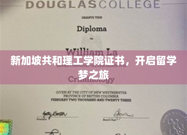 新加坡共和理工学院证书，助力学子迈向留学新篇章