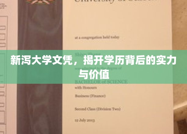 新泻大学文凭，探寻学历背后的卓越实力与无限价值