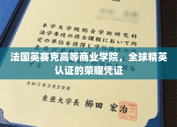 全球精英认可的象征，法国英赛克高等商业学院荣耀学位