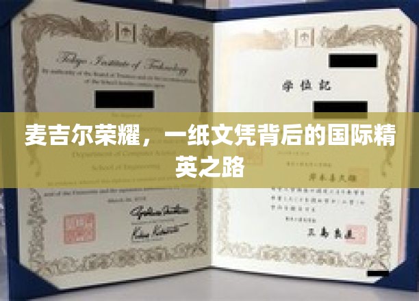 麦吉尔荣耀启示录，探寻精英背后的国际教育传奇