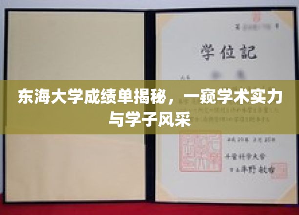 东海学子成绩单背后，探秘学术殿堂的风采与实力