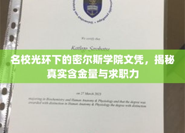 名校光环下的密尔斯学院文凭，揭示其真实含金量与求职竞争力