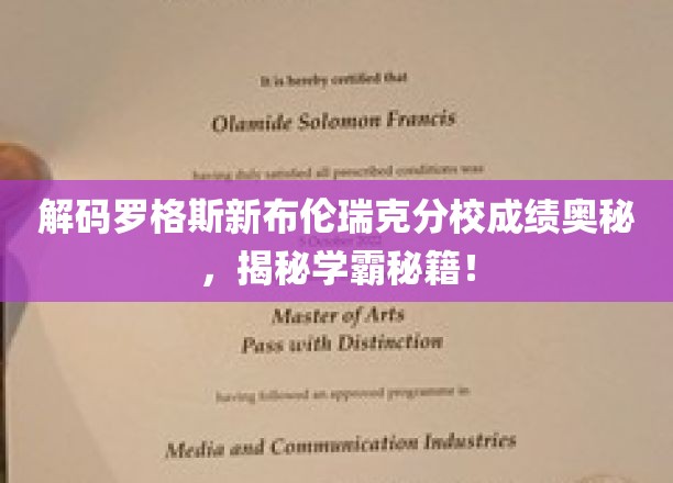 解码罗格斯新布伦瑞克分校成绩奥秘，揭秘学霸秘籍！