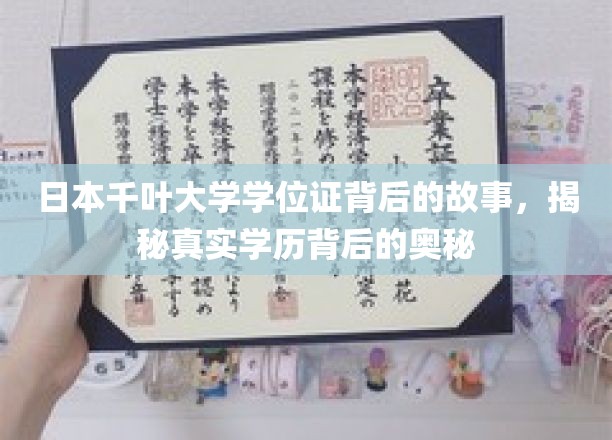千叶大学学位证之谜，探寻学历背后的真实面纱