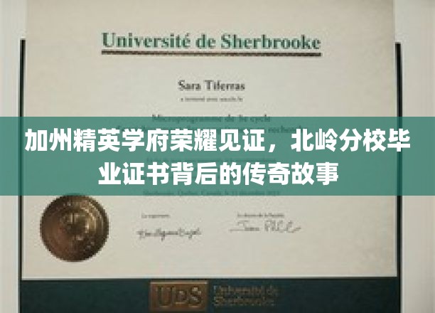 梦想启航之地，北岭分校毕业证书背后的加州传奇