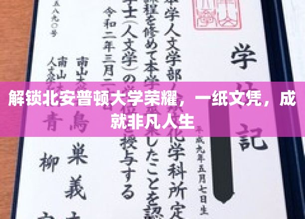 解锁北安普顿大学荣耀，一纸文凭，成就非凡人生