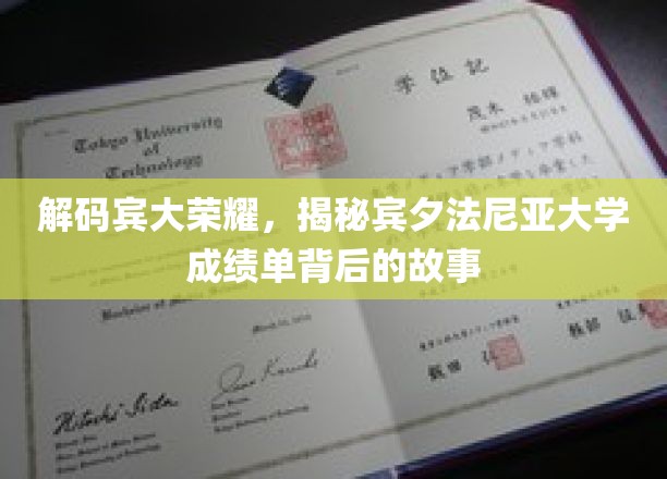 宾大传奇揭秘，成绩单背后的荣耀之路