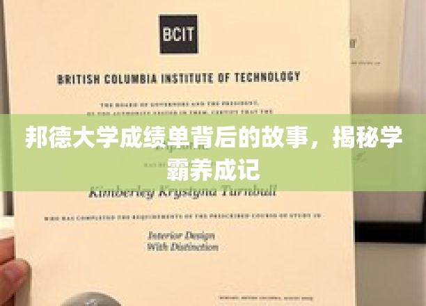 解码学霸之路，邦德大学成绩单背后的成长传奇