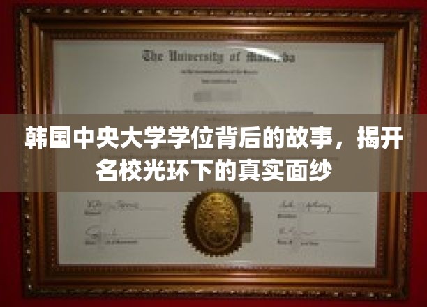 揭开韩中央大学学位之谜，名校光环背后的不为人知篇章