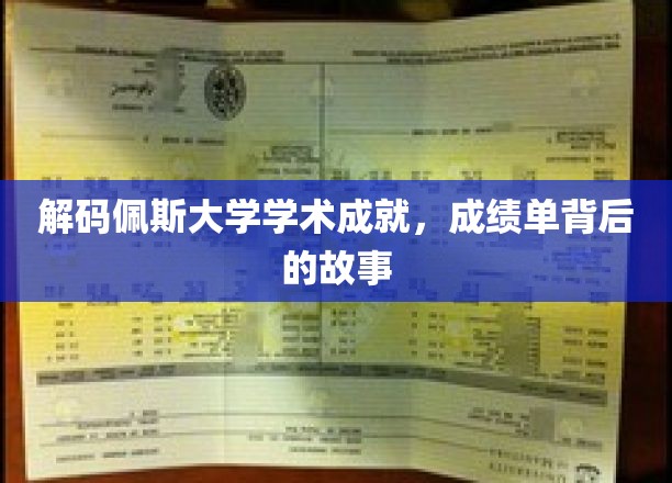 解码佩斯大学学术成就，成绩单背后的故事