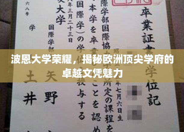 波恩大学盛誉解析，探寻欧洲精英教育的独特文凭魅力