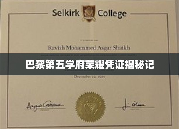 探寻巴黎第五学府的荣耀印记，独家凭证背后的故事