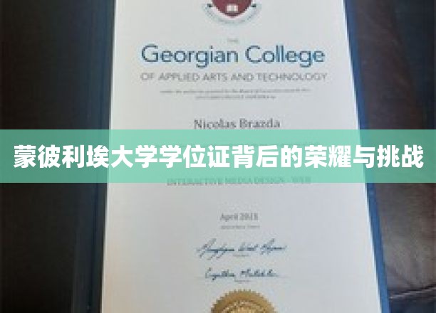 揭开蒙彼利埃大学学位证的荣耀篇章，探寻背后的奋斗与考验