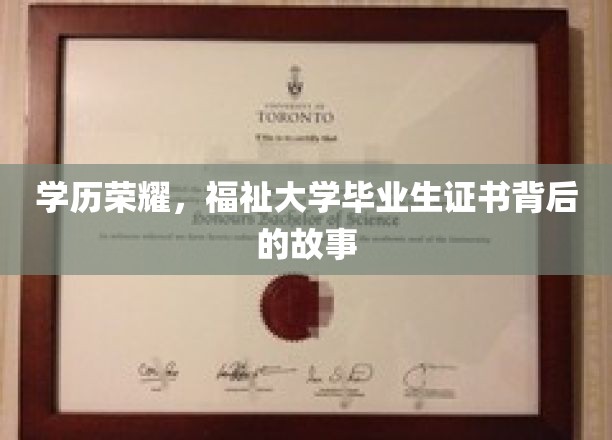 毕业证书的荣耀面纱，揭秘大学生活背后的不为人知篇章