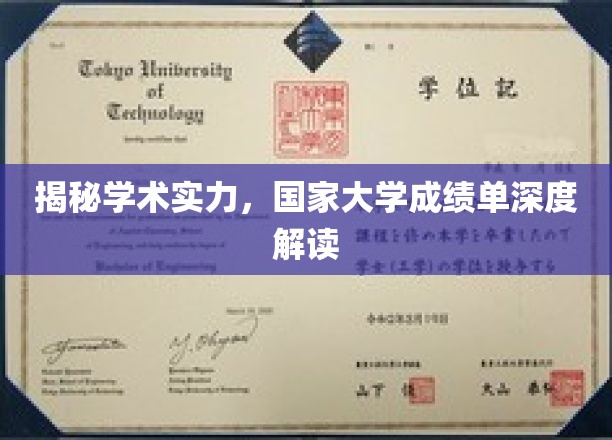 解码高校实力，国家大学成绩单深度剖析
