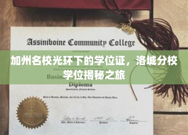 洛城精英，加州名校学位证背后的故事探秘