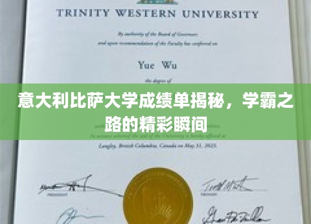 解锁意国学霸，比萨大学成绩单背后的璀璨历程
