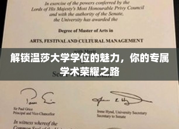 探寻温莎大学学位的独特魅力，成就非凡学术之旅
