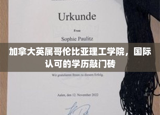 跨洋留学新选择，英属哥伦比亚理工学院，国际认可学历的起点之路