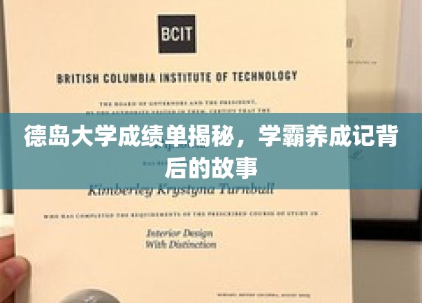 解码德岛学霸之路，揭秘背后的成绩单传奇