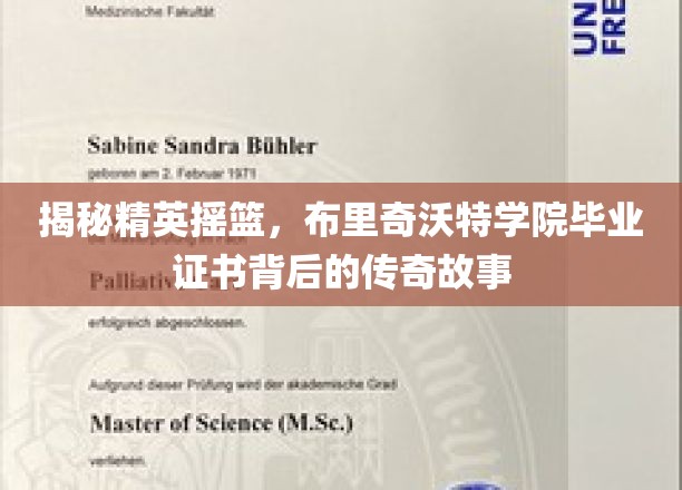 解码名校荣耀，布里奇沃特学院证书背后的精英传奇