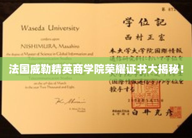法国威勒精英商学院证书背后的荣耀之路揭秘