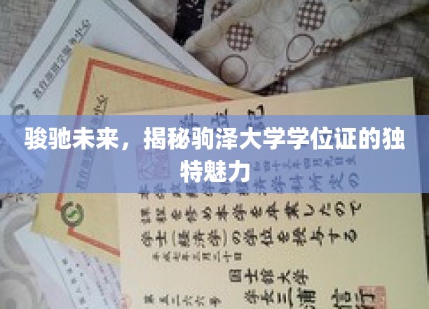 骏驰未来，揭秘驹泽大学学位证的独特魅力