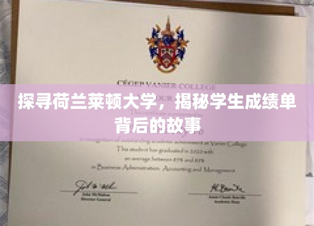 揭开莱顿大学成绩单背后的秘密，荷兰学府的学术传承与学子心声
