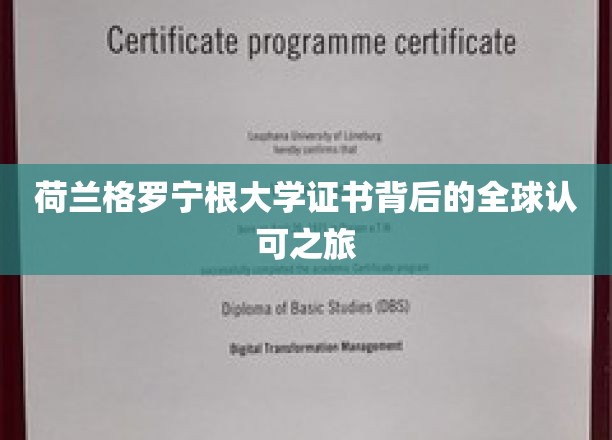 荷兰格罗宁根大学证书背后的全球认可之旅