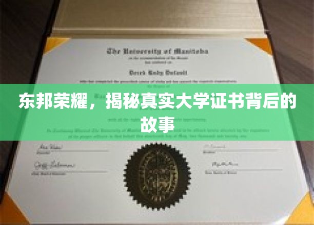 东邦荣耀，一探究竟大学证书背后的故事