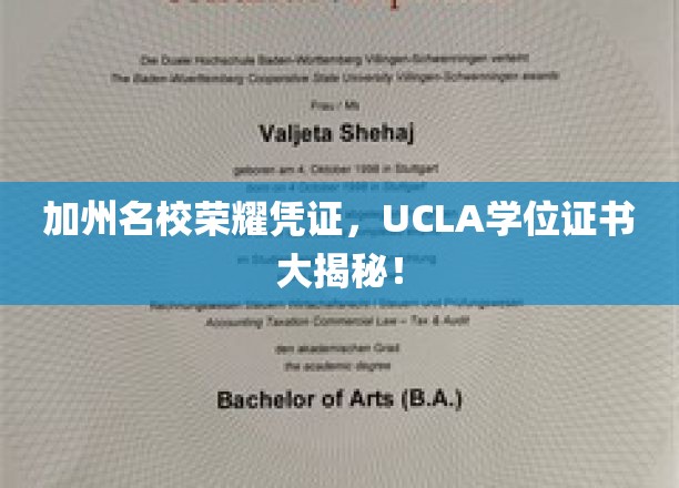 解码加州精英，UCLA学位证书背后的辉煌故事