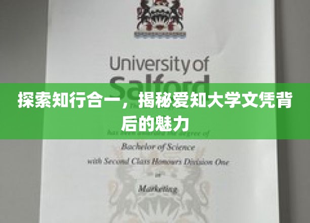 解锁爱知大学文凭，探秘知识与实践融合的独特魅力